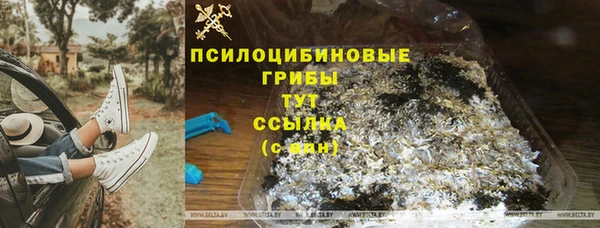 СК Алексеевка